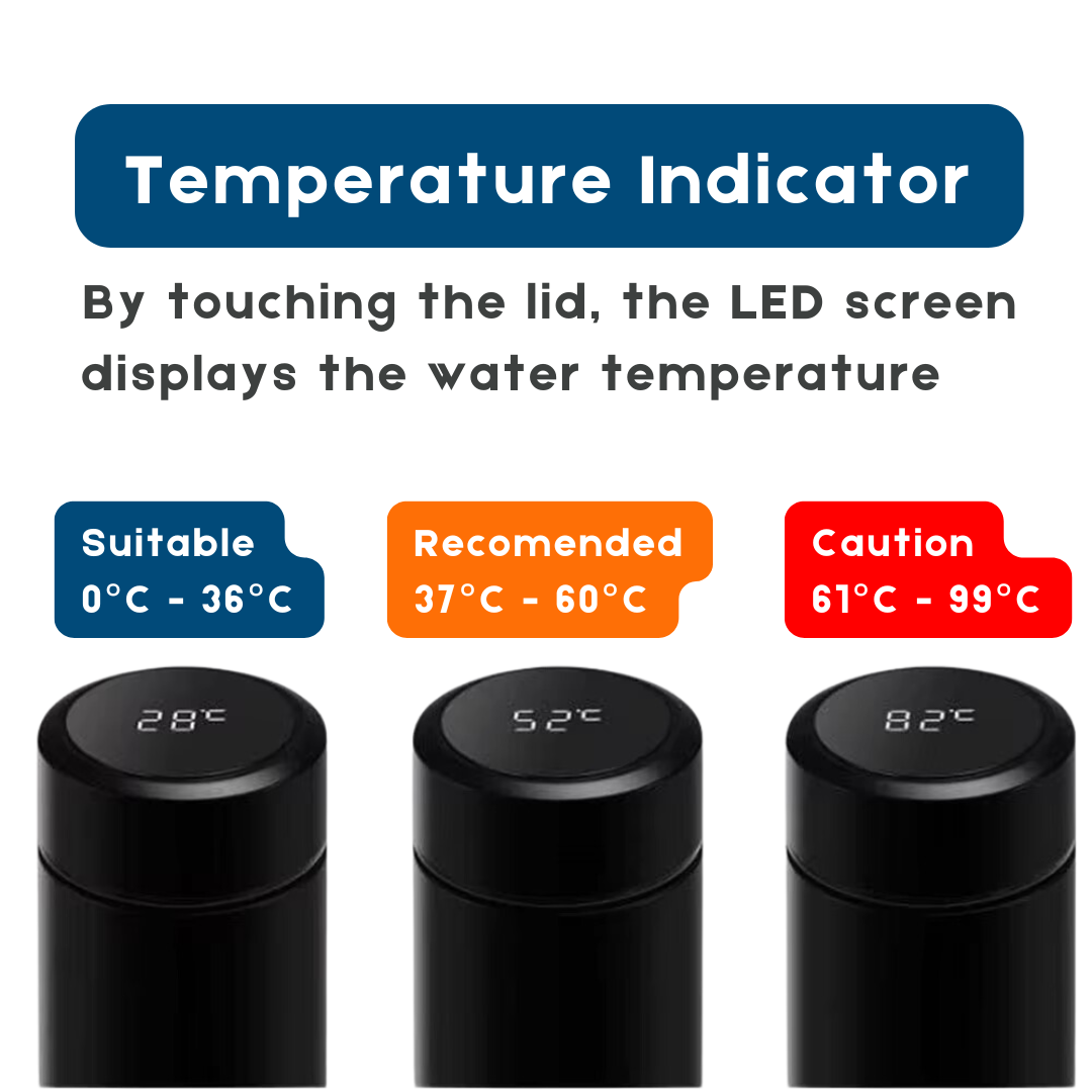 Temperature Display Insulated Bottle