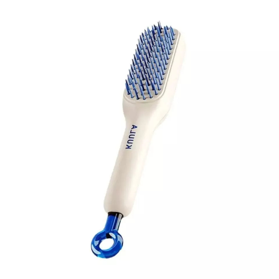 Self Cleaning Massage Hair Brush